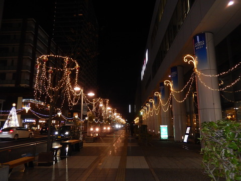 DSCN9138