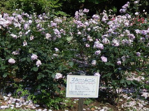 DSCN9775