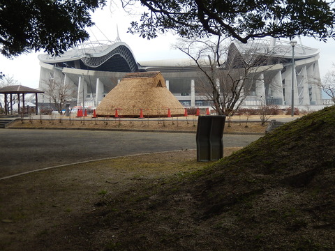 DSCN0681