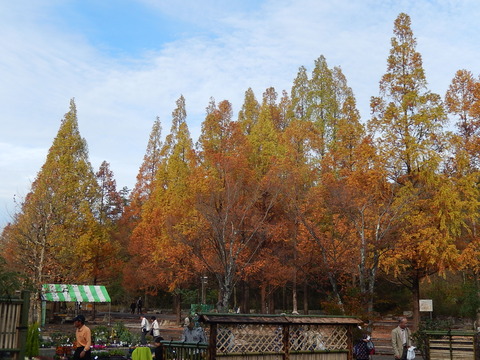 DSCN8744