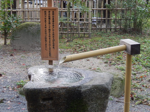DSCN8391