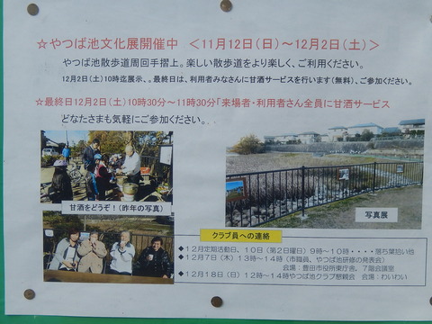 DSCN8351