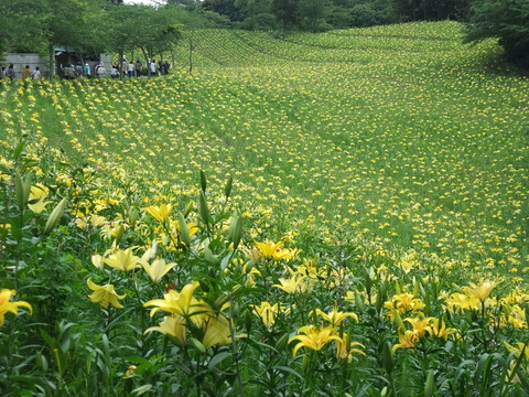 DSCF0032
