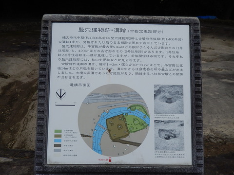 DSCN0658