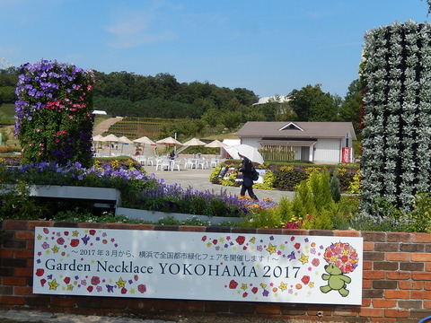 DSCN6141