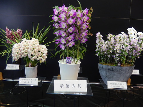 DSCN0147