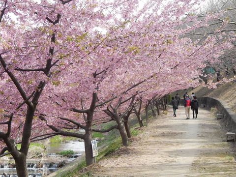 DSCN9432