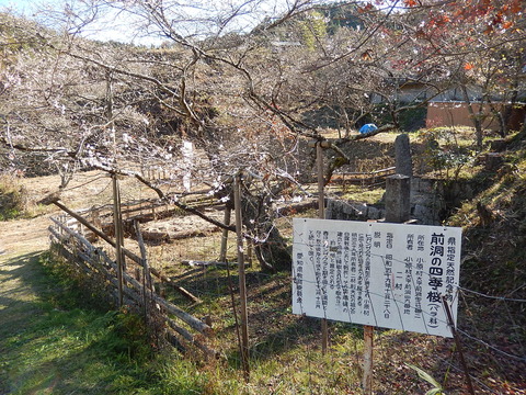 DSCN9667