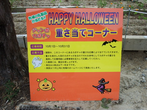 DSCF0088