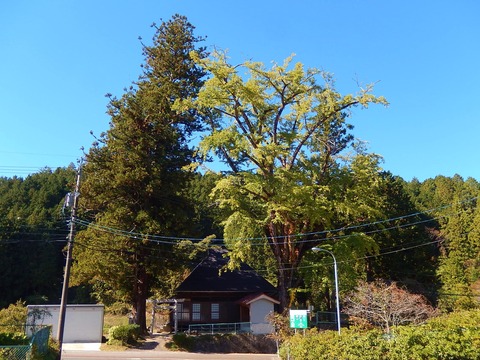 DSCN9197
