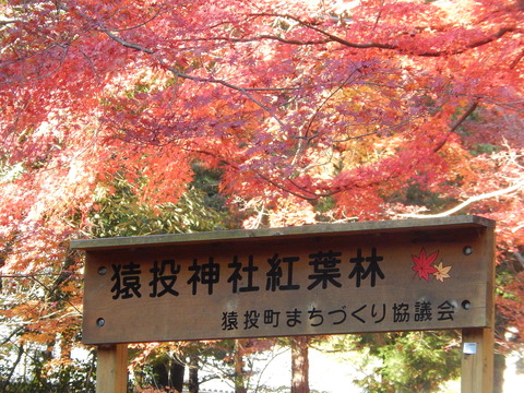 DSCN9330