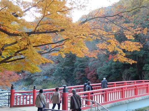 DSCN9398