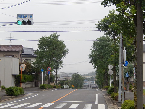 DSCN6611