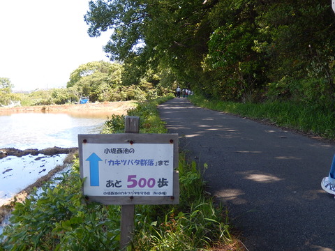 DSCN1897
