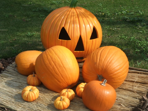 DSCF0007