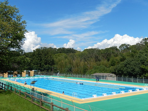 DSCN5028