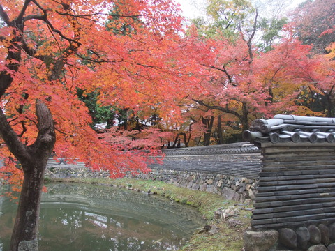 DSCF0020