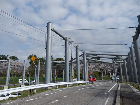 DSCN0343