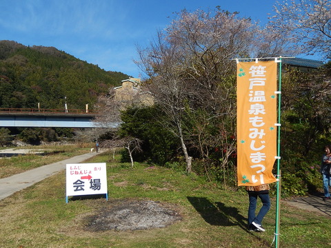 DSCN9811