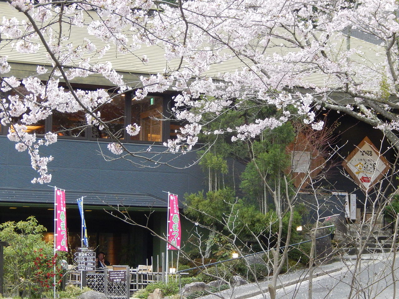 豊田市の癒しの場所 猿投温泉の桜 やつば池散歩道 豊田市 のブログ
