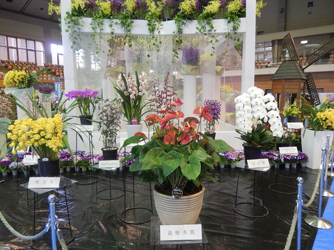 DSCN0284