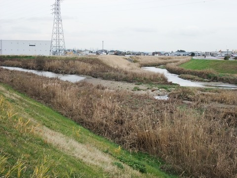 DSCF0024
