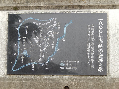 DSCN9027