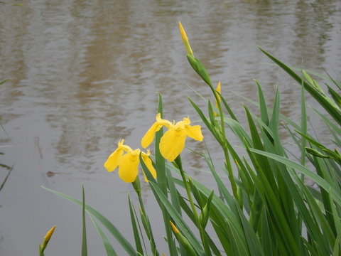 DSCN1291