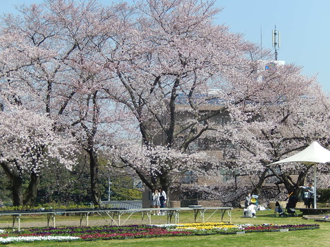 DSCN9943