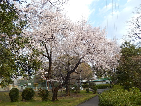 DSCN9836
