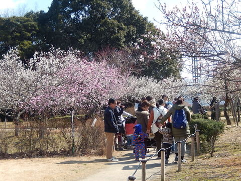 DSCN1654