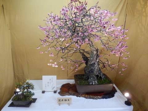 DSCN0829
