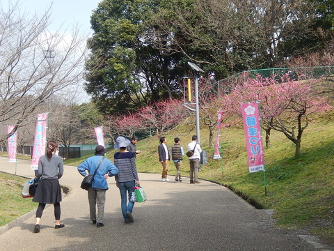 DSCN1762
