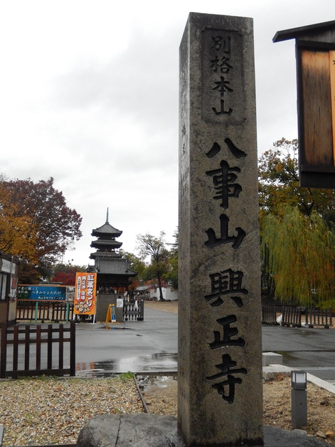 DSCN9733