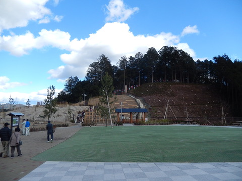 DSCN1113