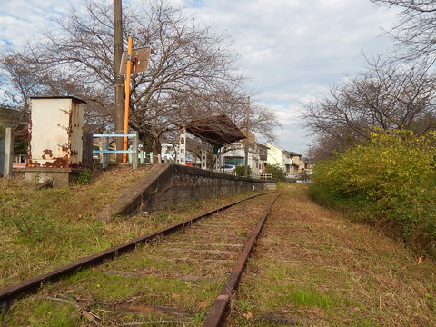 DSCN7558