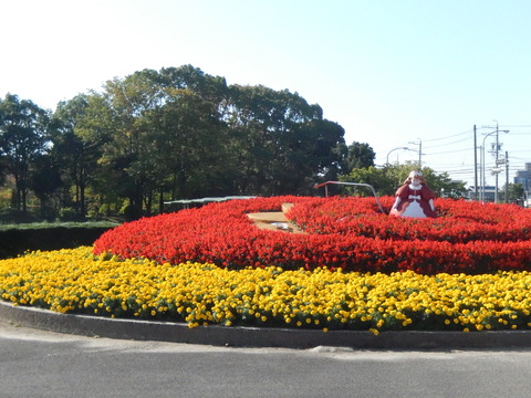 DSCN7881