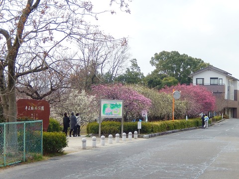 DSCN2083
