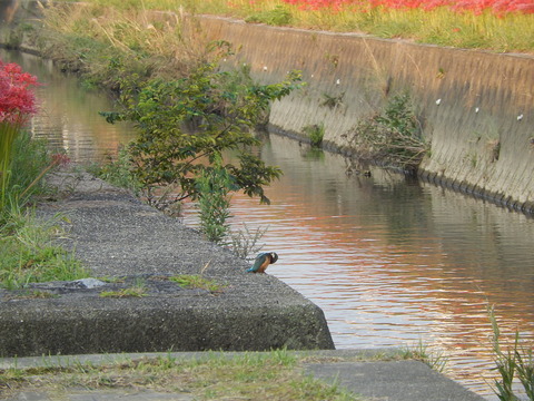 DSCN6391