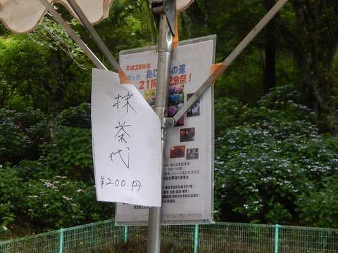 DSCN3903