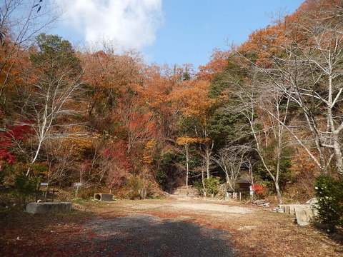 DSCN0490