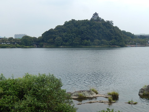 DSCN5402