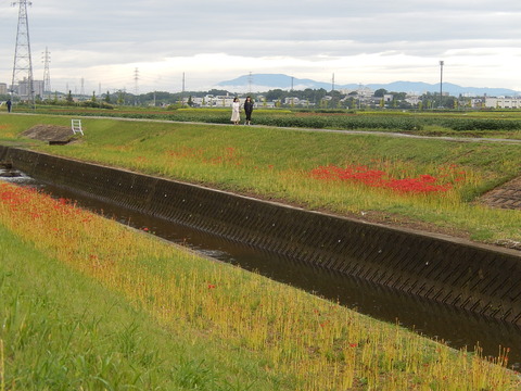 DSCN8933