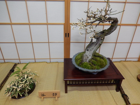 DSCN0783