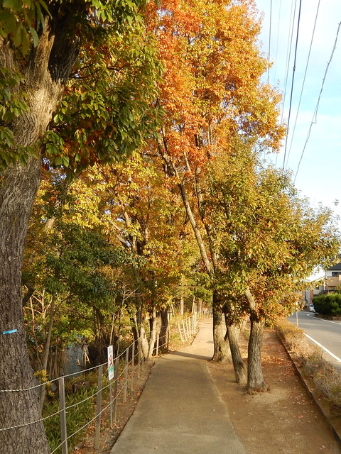 DSCN0097