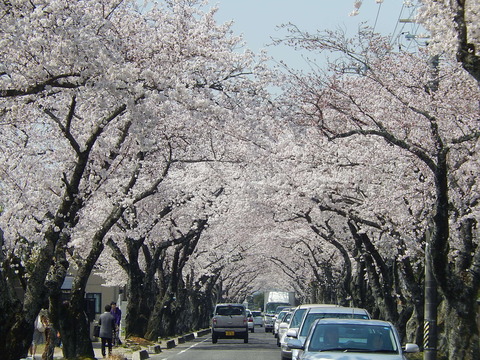 DSCN0006