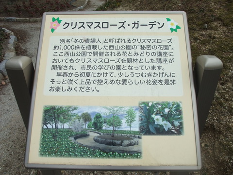 DSCF0050