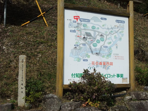 DSCF0032