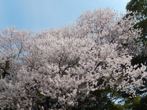 DSCN1891