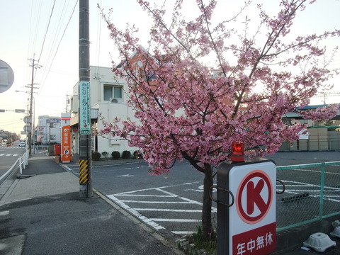 DSCF0004